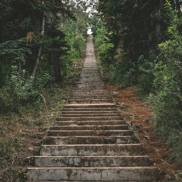 Forest Stone Stairway