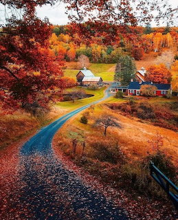 Aerial view of farm buildings nestled among brilliant fall trees with red, orange, and yellow leaves beside a curving road