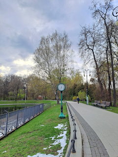 Paved path in urban park with bare trees, grass, fence, and overcast sky