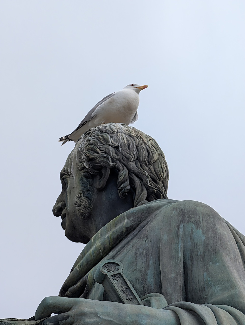 Piazza del Plebiscito Statue