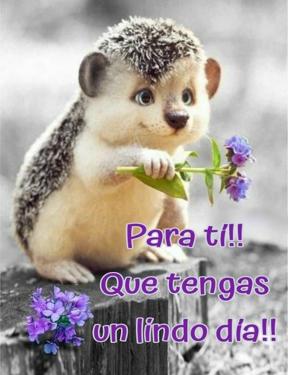 Cute Hedgehog with Flowers