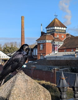Black bird on stone wall with red brick brewery building and tall chimney behind