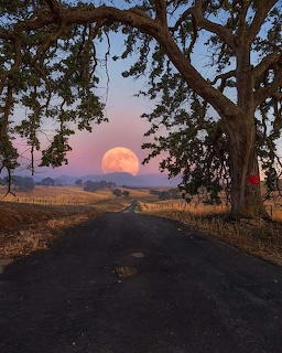 Moon Glow Country Road