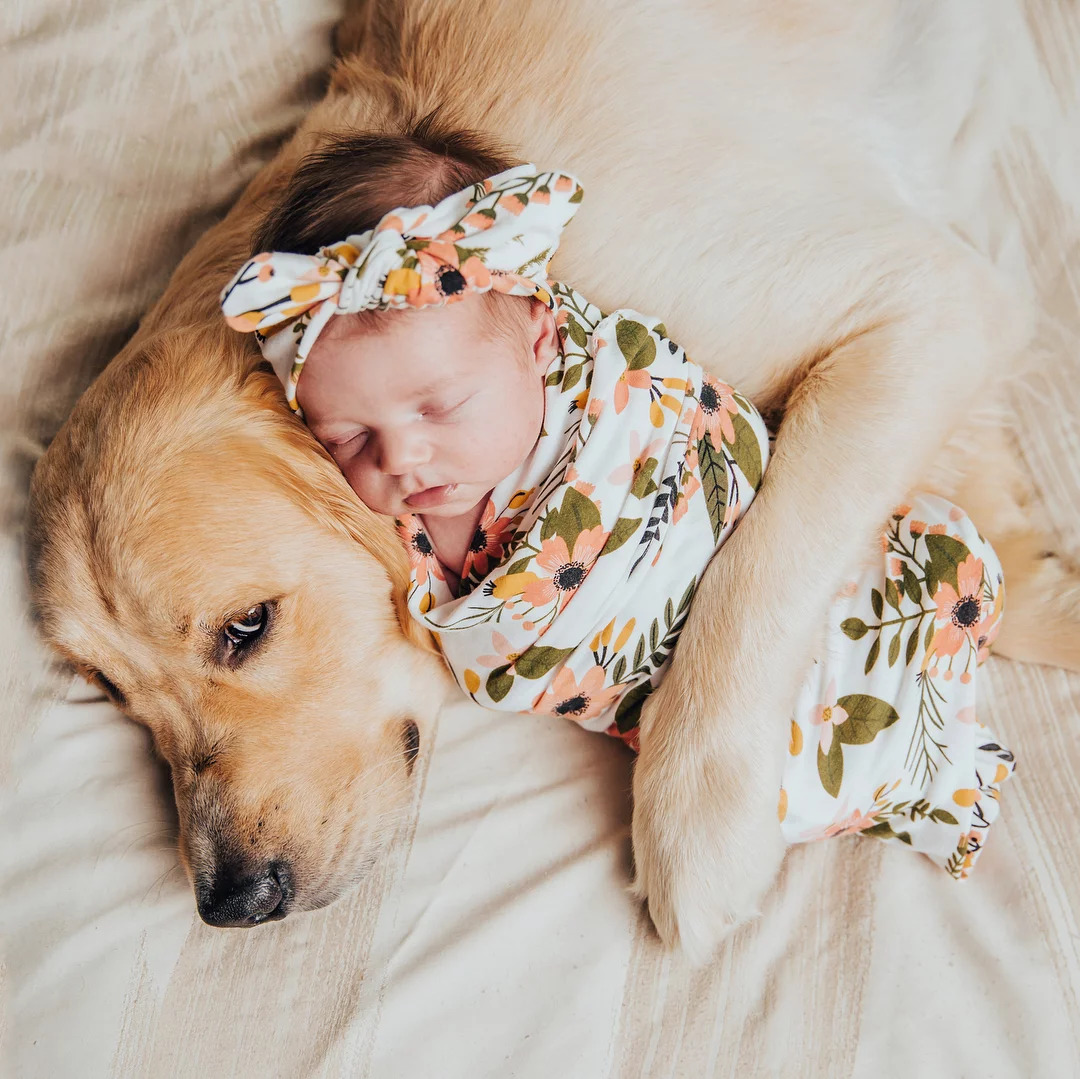 Newborn baby in floral swaddle sleeping next to golden retriever on cream bedding