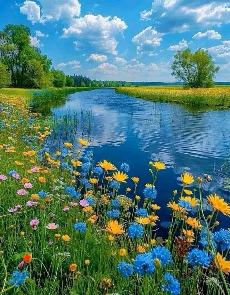 Colorful wildflowers beside a peaceful river in a green meadow with blue sky and clouds