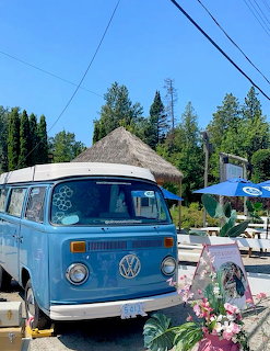 Blue vintage Volkswagen van parked outdoors with flowers in the foreground and trees in the background