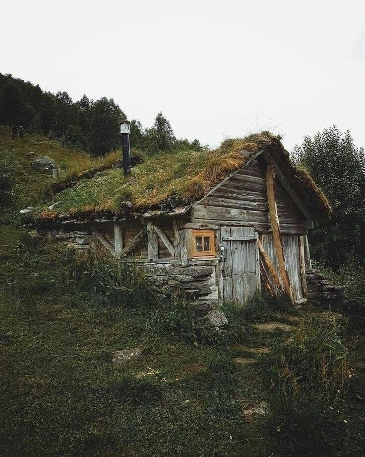 Old weathered wooden cabin with grass growing on its roof on a green hillside