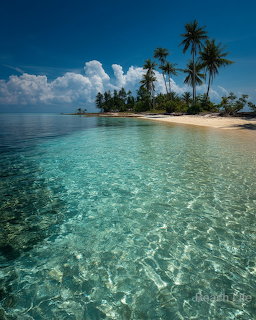 Clear turquoise water by a sandy tropical island with palm trees under a blue sky