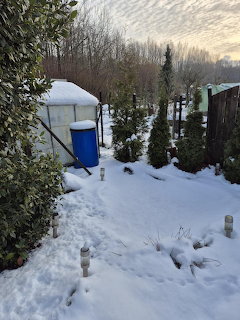Snowy Garden Winter Scene