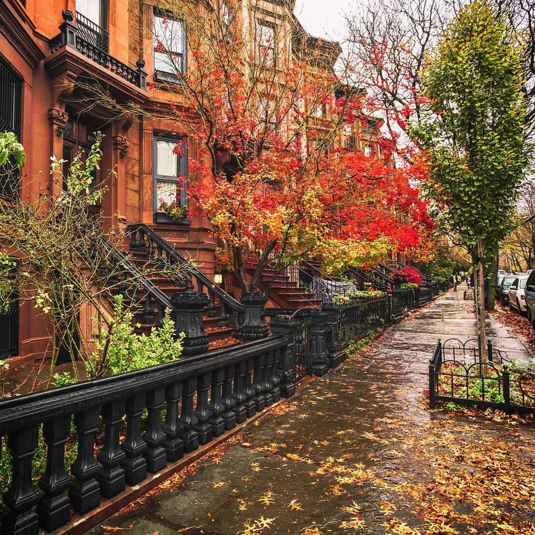 Brownstone buildings along a sidewalk covered in colorful autumn leaves with red and orange trees