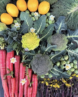 Flat lay of assorted vegetables with red carrots, yellow squash, broccoli, and leafy greens
