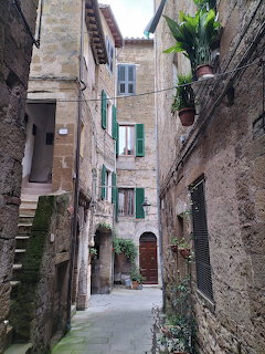 Narrow alley between old stone buildings with green shutters and potted plants in historic Italian village