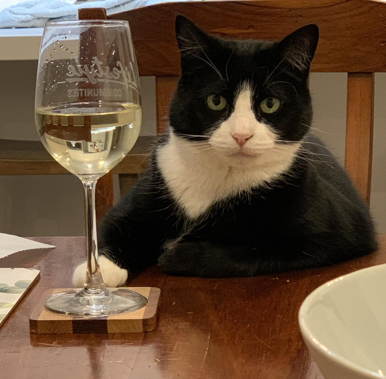 Black and white cat sitting at a table next to a glass of white wine