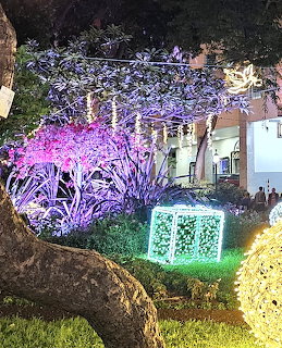 House with bright purple, blue and green Christmas lights on trees and decorations at night