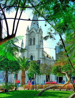 White Gothic-style cathedral seen through green trees in an urban park