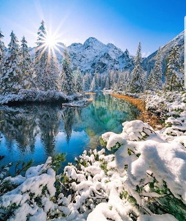 Snow-covered alpine lake with evergreen trees and mountain peaks under bright winter sun