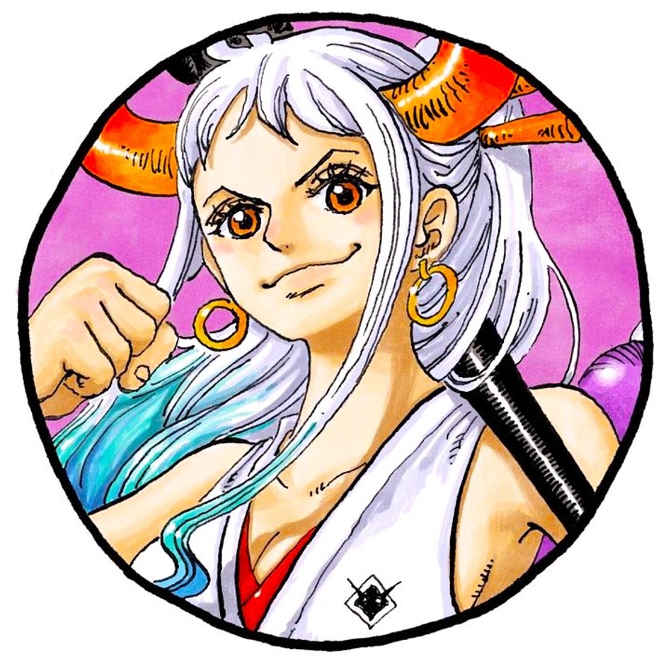 ONE PIECE Anime Character