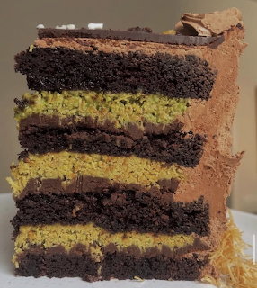 Slice of multi-layered chocolate cake with alternating dark and light layers and chocolate frosting