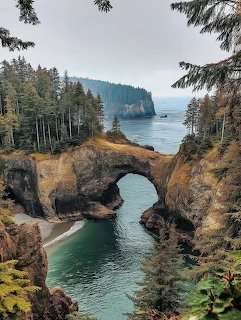 Natural stone arch bridge over ocean cove with pine trees and rocky coastline