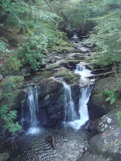 Waterfall flowing over rocky ledges surrounded by dense green forest in Ireland