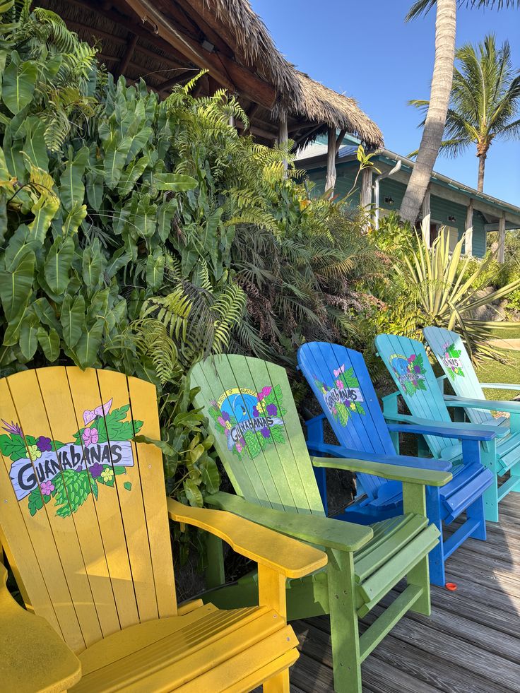 Colorful Adirondack chairs on a tropical deck with palm trees and thatched roof in Florida