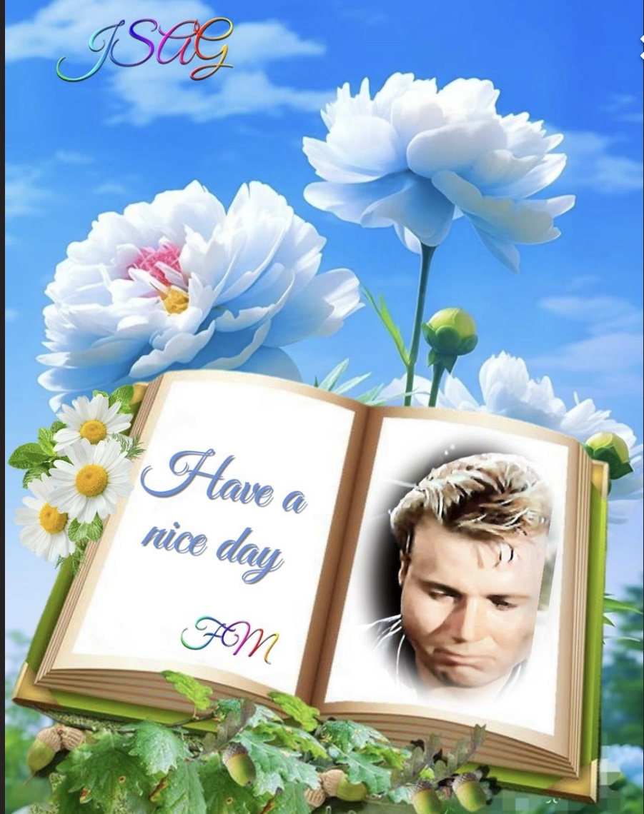 Jigsaw puzzle image