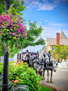 St. Ignace Horse Carriage