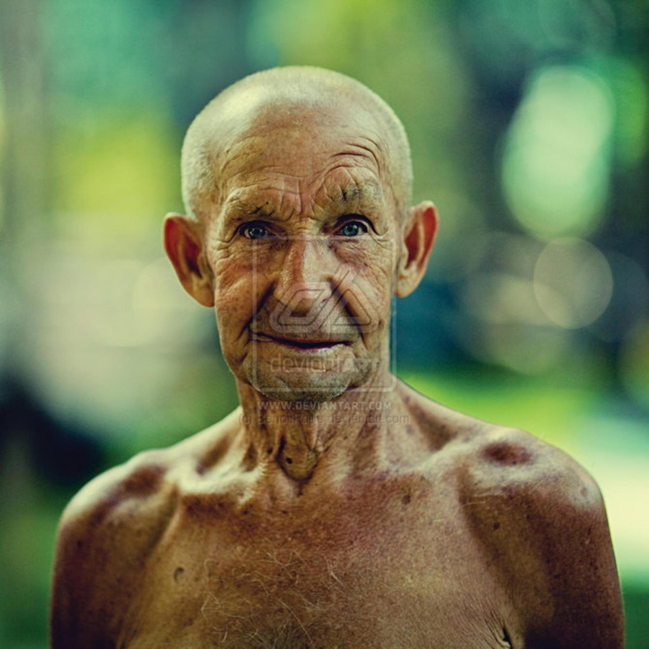 Elderly Man Portrait