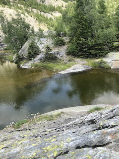 Small mountain pond surrounded by rocks and evergreen trees on a forested alpine hillside