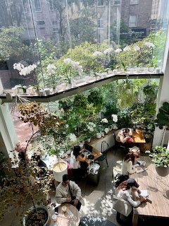 Sunlit cafe interior with large windows, indoor plants, and people sitting at tables