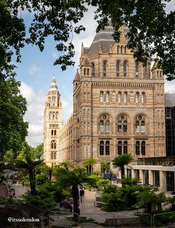 Natural History Museum London with ornate towers and architectural details surrounded by trees
