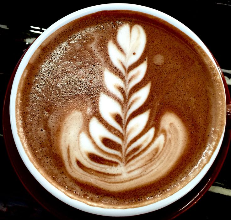 Cappuccino with white fern leaf latte art pattern in brown coffee, viewed from above