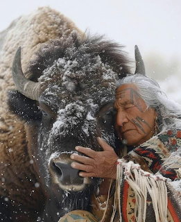 Elderly Native American man with long gray hairently embracing a snow-covered bison in winter