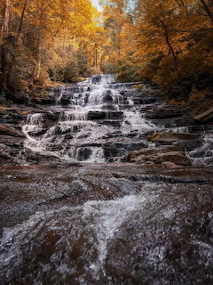 Multi-tiered waterfall cascading over rocks surrounded by fall trees in forest