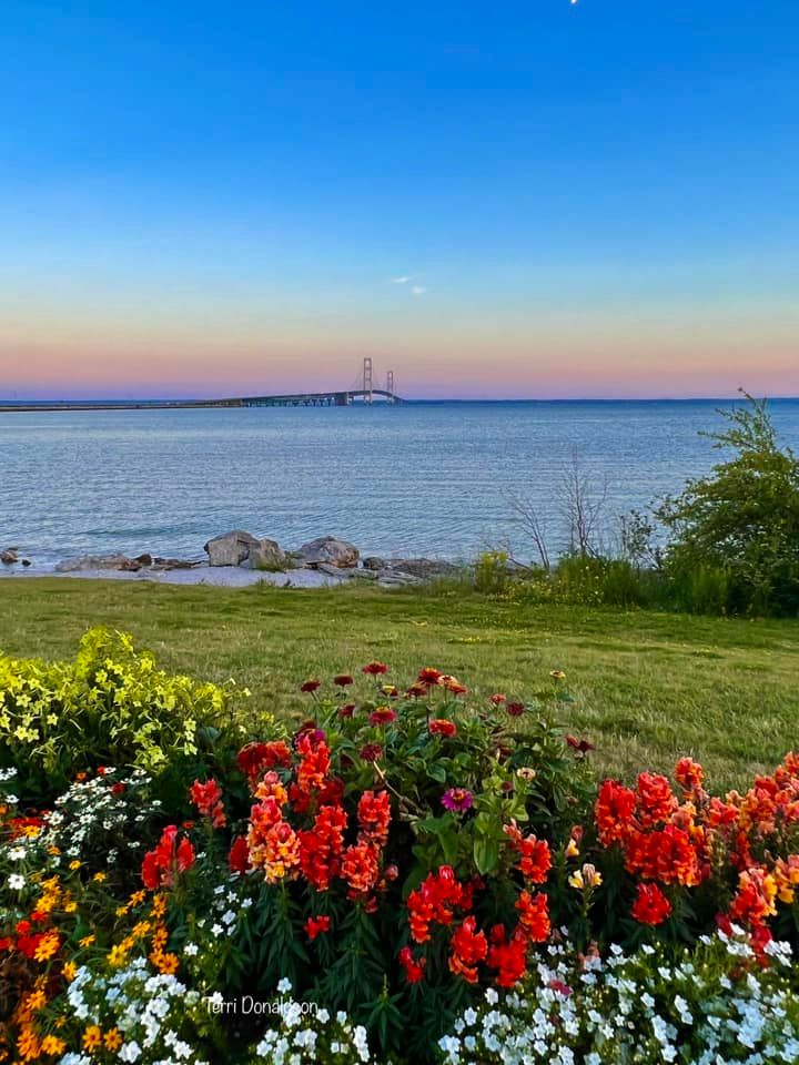 Red flowers in foreground, grassy lakeshore, calm blue water, lighthouse on horizon, gradient sky at dusk