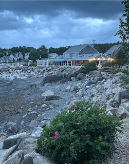 Rocky coastal shore at twilight with lit buildings and pink flowers among boulders