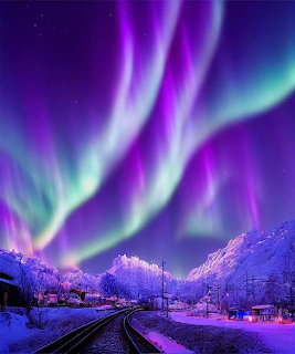Aurora borealis with purple and green lights over snowy railroad tracks through winter forest