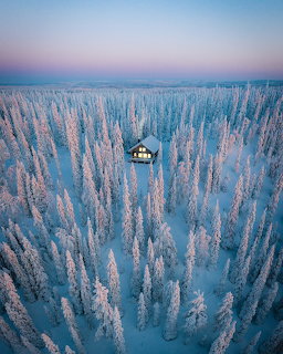 Snowy Forest Cabin Aerial