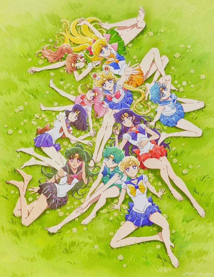 Illustration of Sailor Moon and Sailor Scouts in colorful uniforms on green background