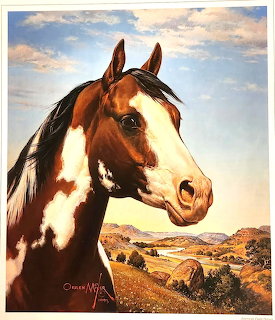 Paint Horse Portrait