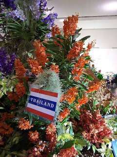 Thailand Orchids Display