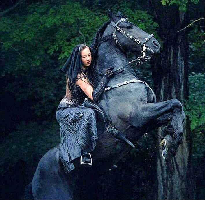 Woman with Friesian Horse