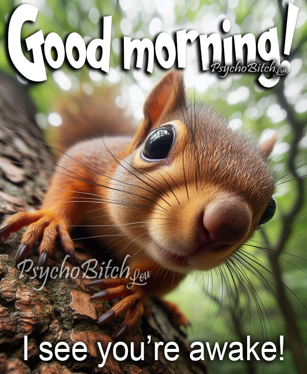 Morning Scene