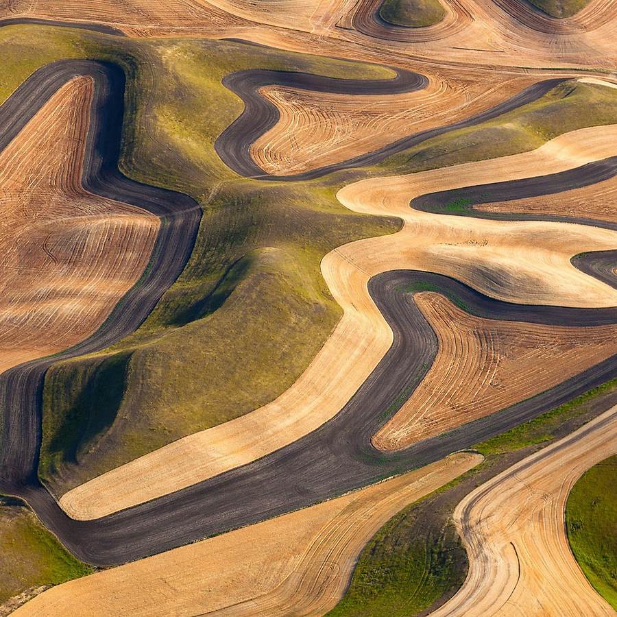 Aerial view of rolling contoured farmland with wavy striped patterns in green, gold and brown tones
