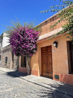 Colorful colonial house with purple flowering tree on cobblestone street