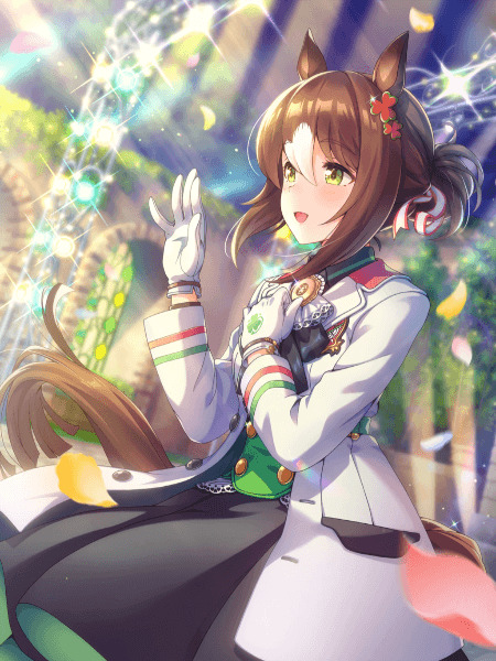 Umamusume Fine Motion SSR
