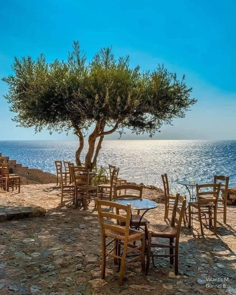 Seaside Tree Patio