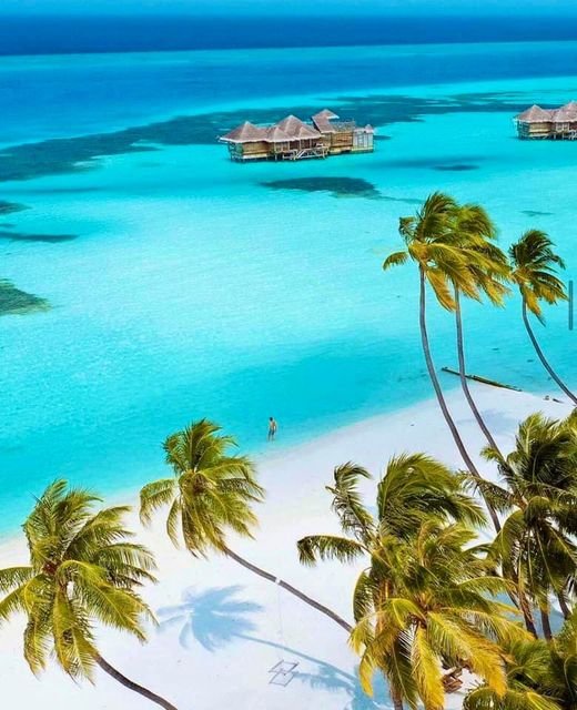 Aerial view of turquoise lagoon with palm trees and overwater bungalows on tropical beach