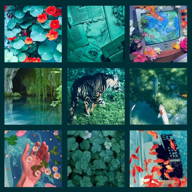Green/red tiger mood board