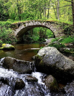 Old stone arch bridge over a forest stream with moss-covered rocks and green trees